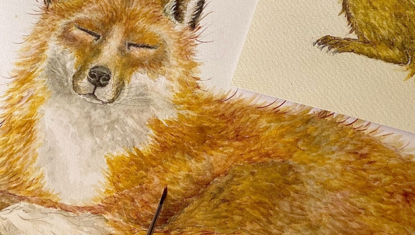 How drawing is an escape