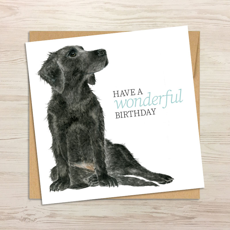 card-and-envelope-labrador_329426322