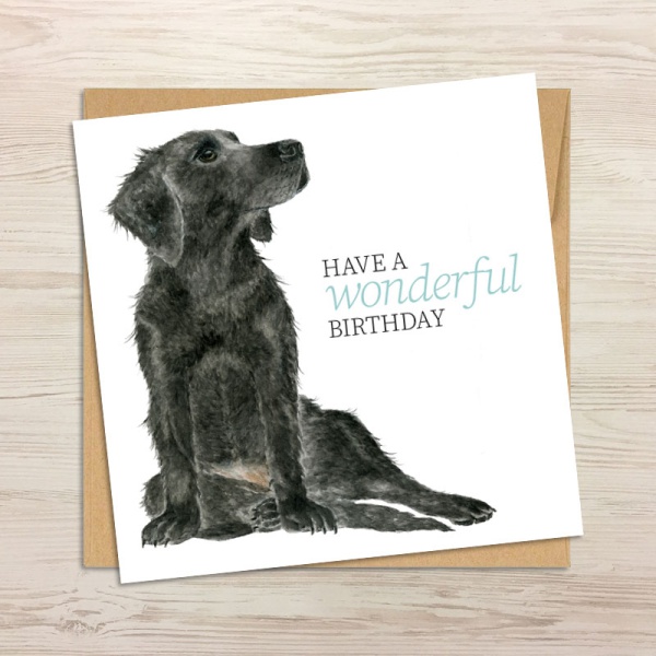 card-and-envelope-labrador_329426322