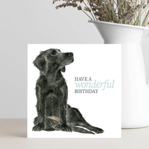card-and-vase-labrador_432221529