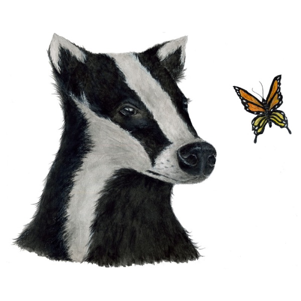 wawd-card-badger-butterfly_881305155