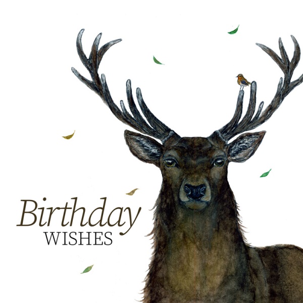 wawd-card-deer-and-robin_952775101