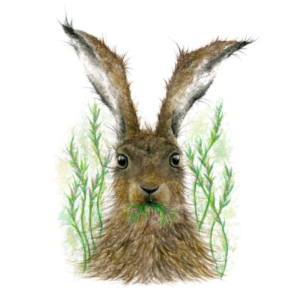 wawd-card-good-hare-day_1333011373