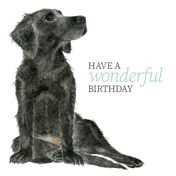 wawd-card-labrador_950514295