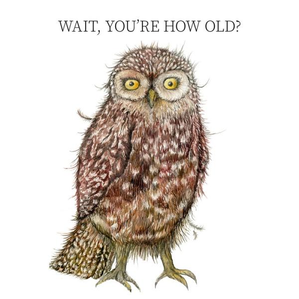 wawd-card-owl_780560193