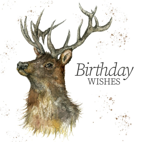 wawd-card-stag-2_1634356808